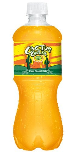  Cactus cooler orange pineapple 20 fl oz, 10 bottles, total 200  fl oz : Everything Else